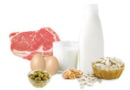 خوراکیهای دارای چربیهای گیاهی و جانوری مانند روغن زیتون، گردو، گوشت و لبنیات